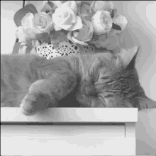 a cat laying on a white box next to a vase of roses