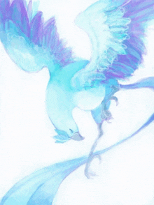 a blue and purple bird with a long tail is flying on a white background