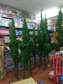 a man wearing a mask sits in front of a row of christmas trees in a store