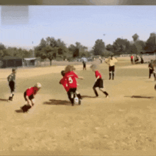 a group of young boys are playing soccer and one of them has the number 5 on his shirt