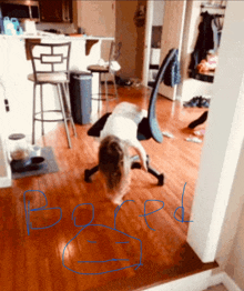 the word bored is written on the floor in blue marker