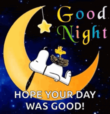 snoopy and woodstock are sitting on a crescent moon with the words `` good night hope your day was good ''