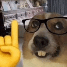 a dog wearing glasses and a yellow hand giving a rock on sign .