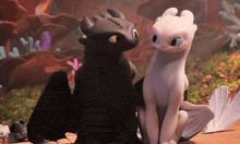 toothless and light fury from how to train your dragon are looking at each other