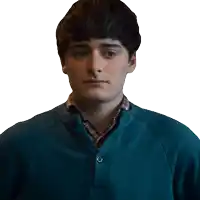 a young man in a blue sweater and plaid shirt