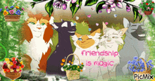 a picture of a group of cats with the words " friendship is magic " on the bottom
