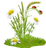 a ladybug is sitting on a green plant with daisies and wheat