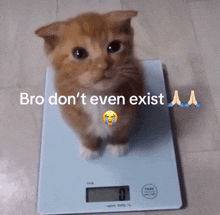 a kitten is sitting on a scale with the words bro don 't even exist