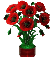 a bunch of red flowers in a red vase on a white background