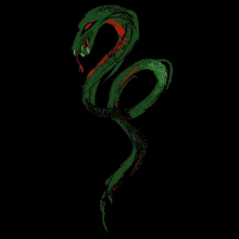 a green snake with red stripes on its tail on a black background