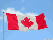 a canadian flag with a maple leaf is flying in the wind