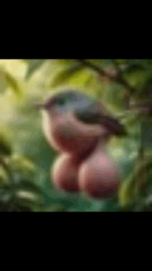 a blurry picture of a bird sitting in the grass