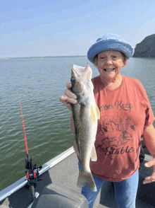 a woman wearing a horses keep me stable shirt holds a large fish