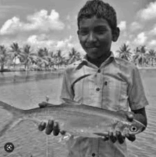 a black and white photo of a young boy holding a fish .