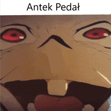 a close up of a cartoon face with red eyes and the words antek pedal below it