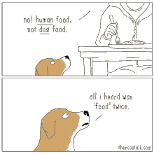 a cartoon of a dog saying no human food not dog food and all i heard was ' food ' twice