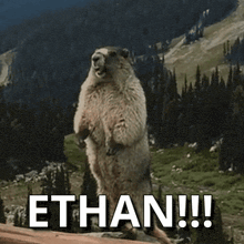 a squirrel standing on its hind legs with the word ethan written below it