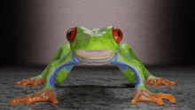 a green frog with red eyes and blue feet