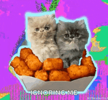 two kittens are sitting next to a bowl of chicken nuggets with the words ignoring me below them .