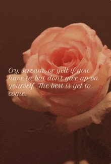 a rose with a quote on it that says cry scream or yett if you have to but don t give up on yourself