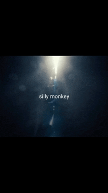 a dark background with the words silly monkey in white