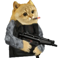 a cat is holding a gun with a cigarette in its mouth