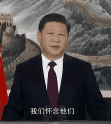 a man in a suit and tie is giving a speech in front of the great wall of china .