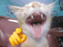 a close up of a cat with its mouth open and a yellow fist pointing at the camera