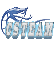 a logo for a company called csteam with a fish on it