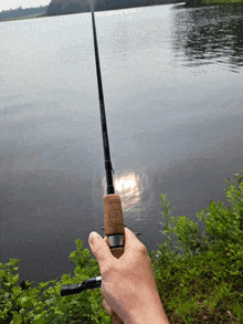 a person is holding a fishing rod that has the word fuji on it