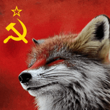 a close up of a fox with a hammer and sickle on its face