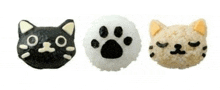 three rice balls in the shape of cats and paw prints