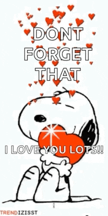 snoopy is holding a heart and saying `` dont forget that i love you lots '' .