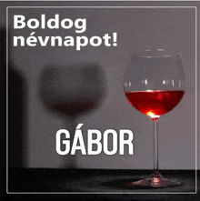 a glass of red wine with the name gabor written on it