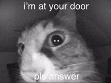 a black and white photo of a cat with the words i 'm at your door pls answer below it