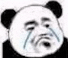 a panda bear with tears running down its face .