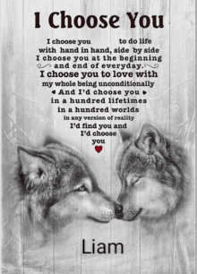 a poster that says i choose you with two wolves