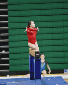 a girl in a red leotard stands on one leg in front of a screen that says 250 l marechal