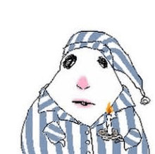 a drawing of a hamster wearing a striped pajamas and hat holding a candle .