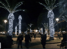 a group of people are walking in a park with palm trees decorated with white lights