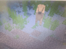 a screenshot of a minecraft game shows a sheep swimming in the water