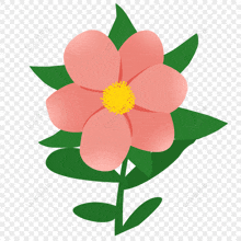 a pink flower with a yellow center and green leaves is on a transparent background