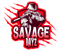 a logo for savage dayz has a soldier holding a gun