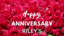 a bunch of red roses with the words `` happy anniversary riley 's '' written on them