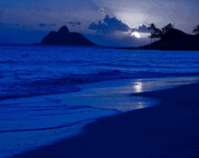 a beach at night with palm trees in the background