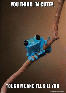 a blue frog sitting on a tree branch with a caption that says you think i 'm cute