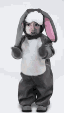 a baby in a bunny costume is dancing .