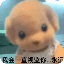 a stuffed animal with asian writing on it