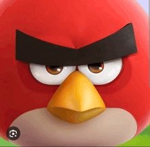 a red angry bird with a yellow beak and a black eyebrow