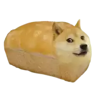 a doge is sitting in a loaf of bread